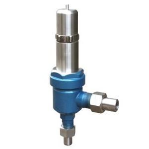 Spring loaded low lift safety valve（A61）